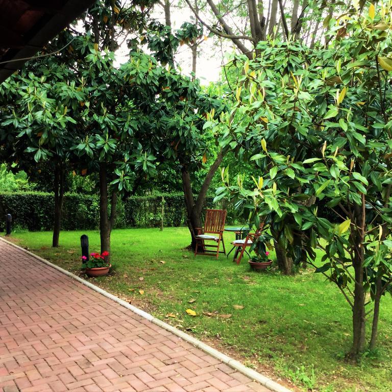 Pansion Bencun Hotel เมจูโกเรีย ภายนอก รูปภาพ